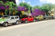 Jeep tour and Dolphins