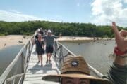 Laguna Jeep Tour