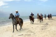 horseback-riding-cozumel