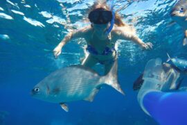 catamaran snorkel tour cozumel island mexico