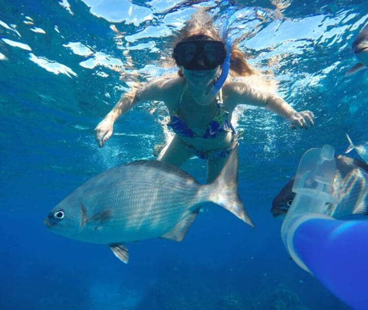 catamaran snorkel tour cozumel island mexico