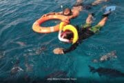 Snorkel Tour Cozumel Palancar colombia y el cielo