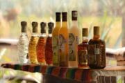 Tequila tour with Jeep Riders Cozumel